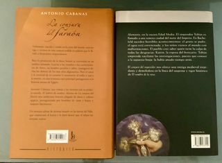 7 grandes obras novela histórica.