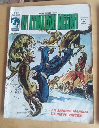 Marvel comics group