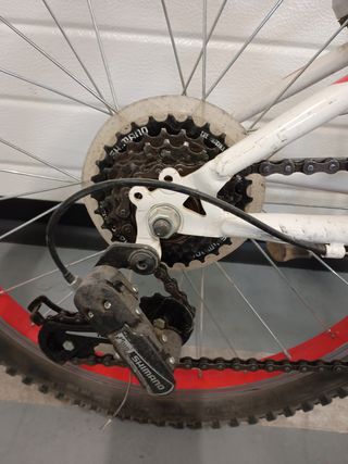 Bicicleta niño 20" usada