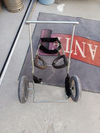 Carrito perro silla ruedas