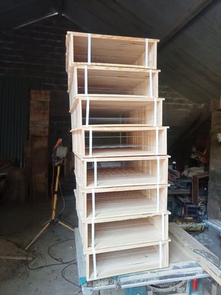 Cuadros para colmena - Apicultura