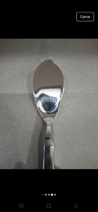 Coltelli da pesce in acciaio inossidabile