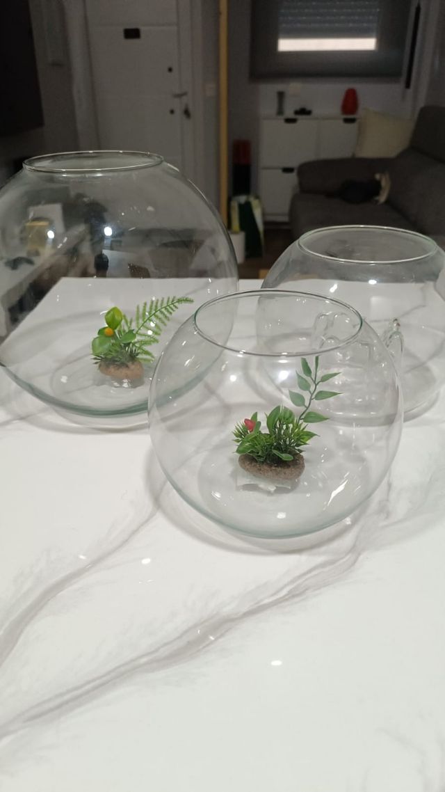 Peceras o floreros de  cristal redondas