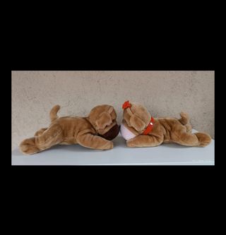 2 Peluche Carlini