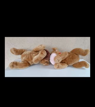 2 Peluche Carlini