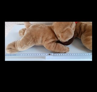 2 Peluche Carlini