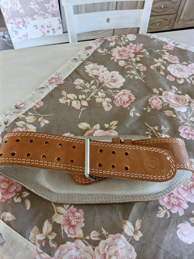 Cintura Energetics palestra