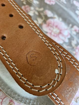 Cintura Energetics palestra