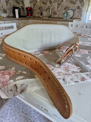 Cintura Energetics palestra