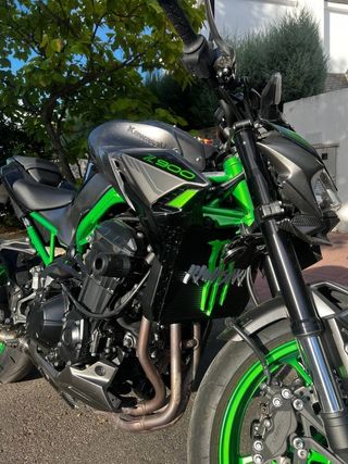 Logo Monster Kawasaki Z900 - Verde & Gris
