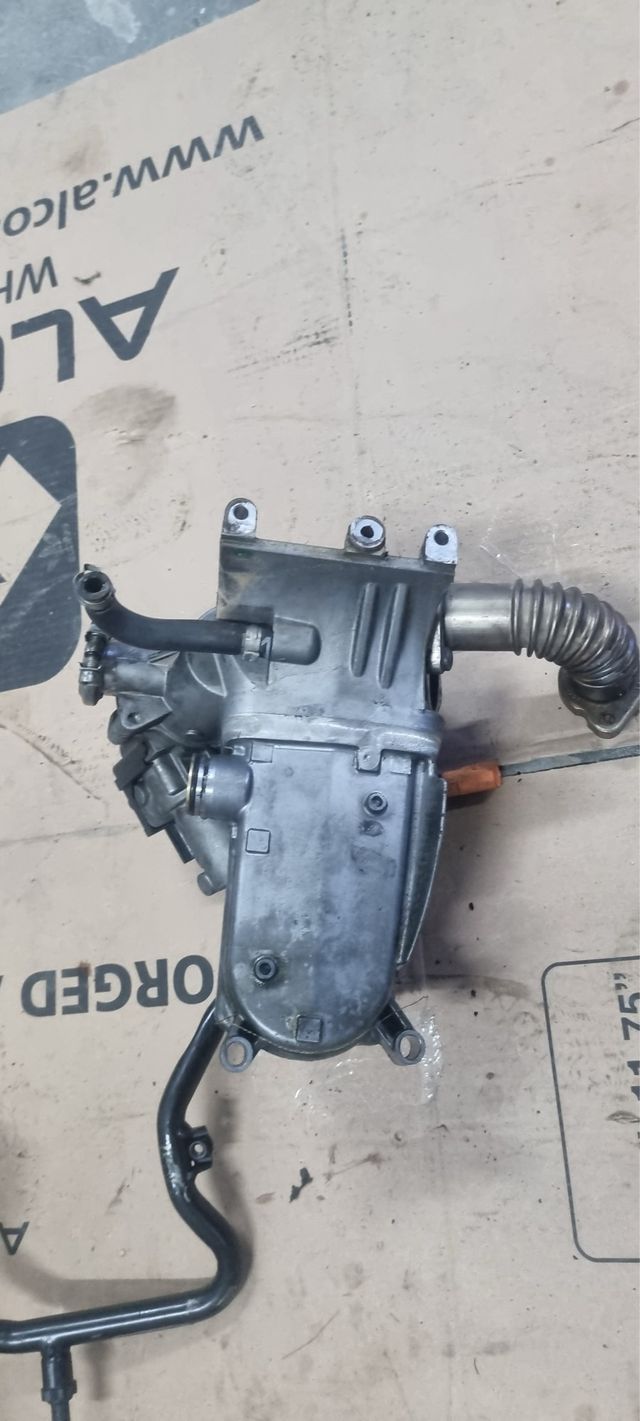Enfriador EGR Audi A5 3.0 CCW