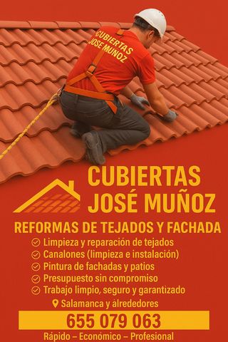 Limpieza de canalones y reparación de tejados