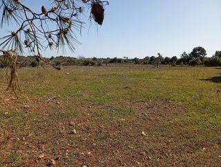 Casa rural en venta en Algaida