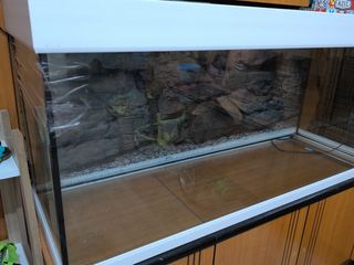 Acuario Eheim 240L blanco