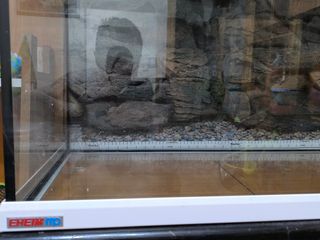 Acuario Eheim 240L blanco