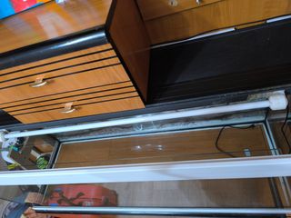 Acuario Eheim 240L blanco