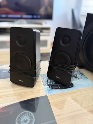 Altavoces 2.1 Trust negros