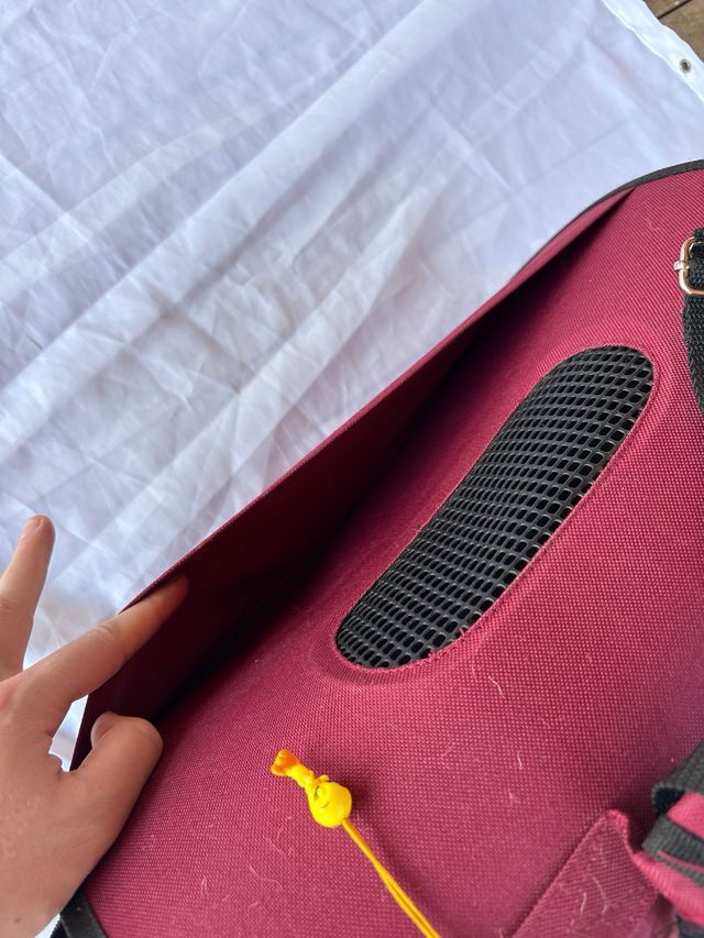 Maleta transporte mascotas betty boop