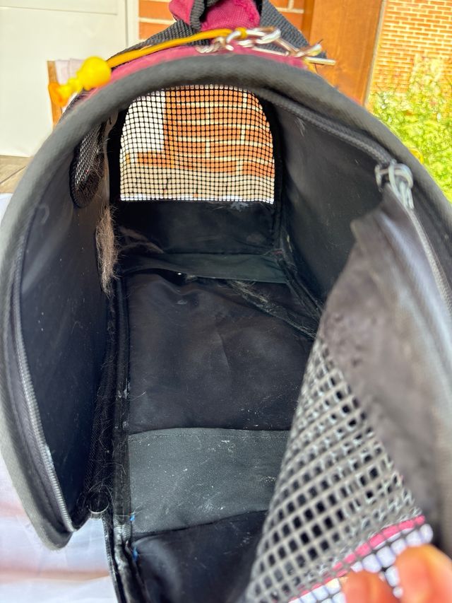 Maleta transporte mascotas betty boop