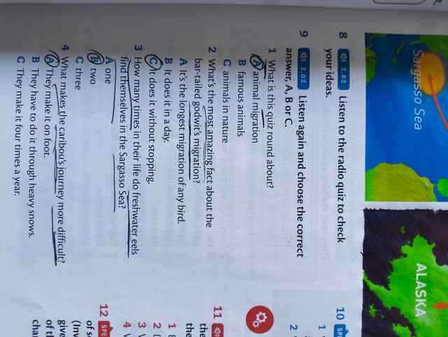 Thinking Space B2 Student's Book with Interacti...