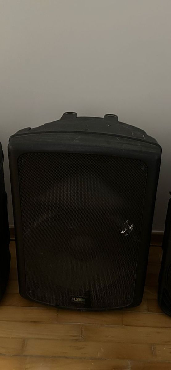 Altavoz
 Profesionales KS-215