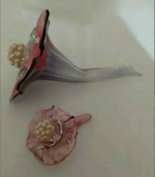 2 Fiori Vetro Vintage Decor