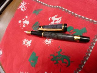 Pluma estilográfica Waterman París