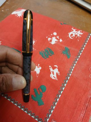 Pluma estilográfica Waterman París