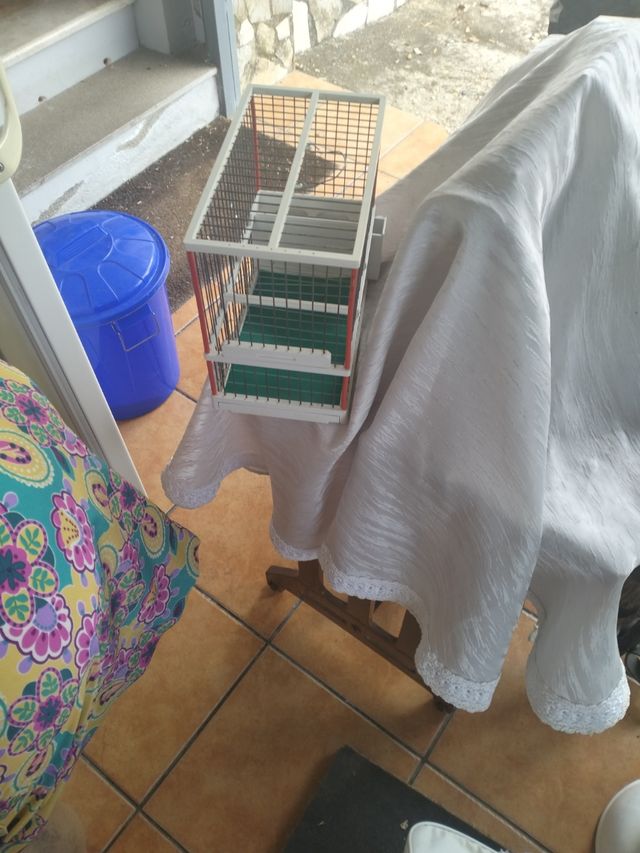 Gabbia per uccelli - Bianca e Verde