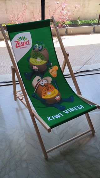 Sedia a sdraio Zespri Kiwi da collezione 