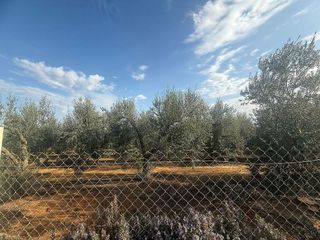 Terreno en venta en Pilas