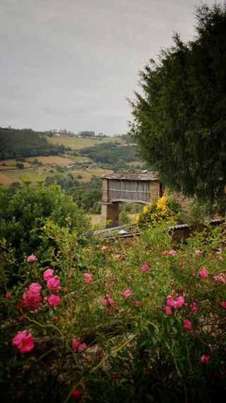 Samsung NX Mini - Cámara sensor 1"