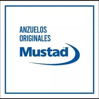 X10 ANZUELOS N°2 MUSTAD
MONTADOS.