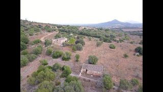 Terreno en venta en Manacor Centro en Manacor