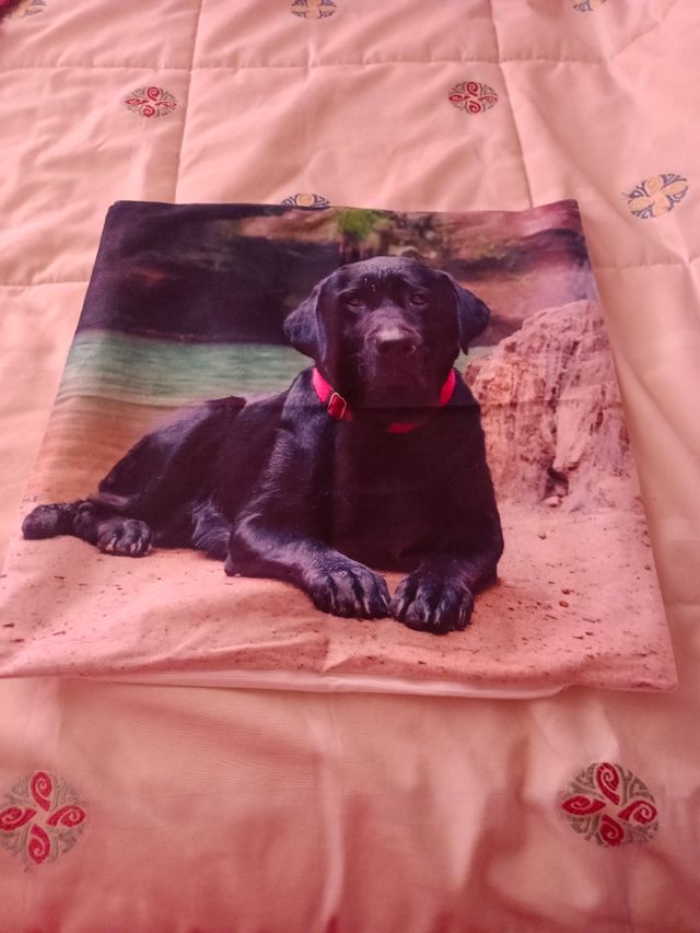 Funda cojín perro labrador 45x45cm