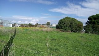 Terreno en venta en La Jara en Sanlúcar de Barrameda