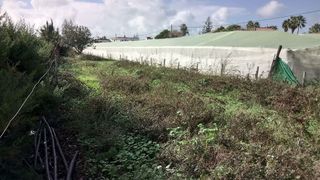 Terreno en venta en La Jara en Sanlúcar de Barrameda