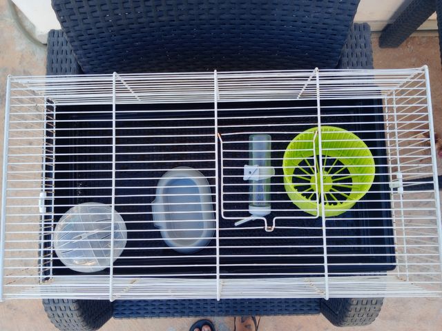 Jaula hamster blanca