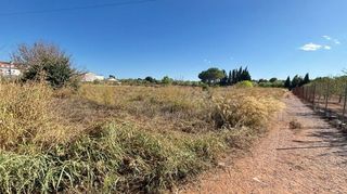 Solar en venta en Pilas