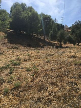 Terreno en venta en Cabo Pino - Reserva de Marbella en Marbella