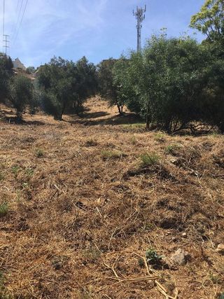 Terreno en venta en Cabo Pino - Reserva de Marbella en Marbella
