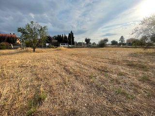 Terreno en venta en Alpicat