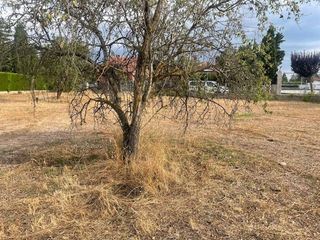 Terreno en venta en Alpicat
