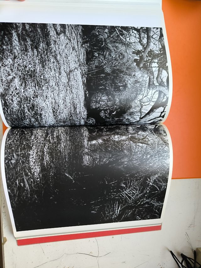 Chikaku, Time and Memory