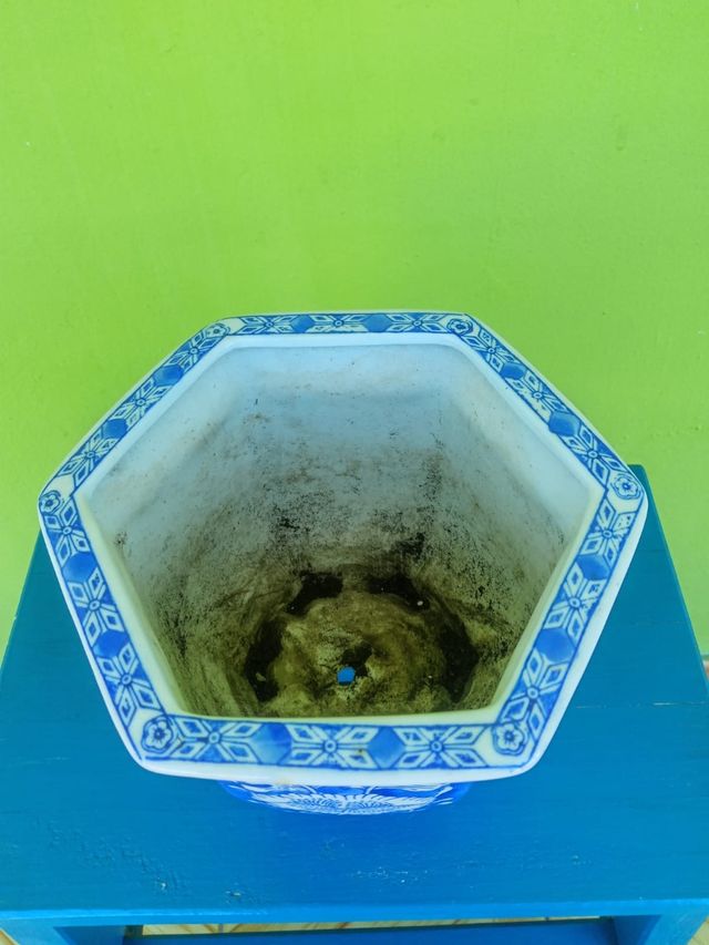 Maceta cerámica azul y blanca