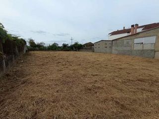 Desbroces de fincas económicos.