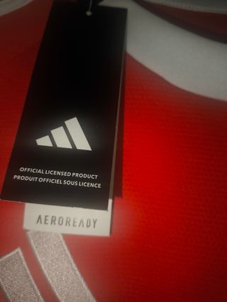 Camisola Benfica Adidas L