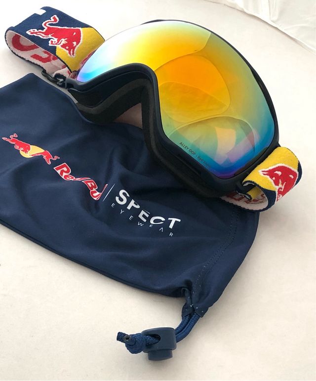 Maschera Sci/Snowboard Red Bull Spect