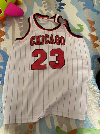 Camiseta Chicago Bulls #23