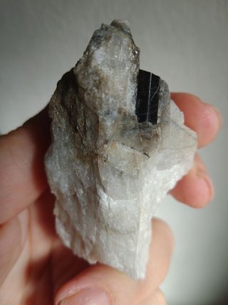 Tormalina nera su Quarzo